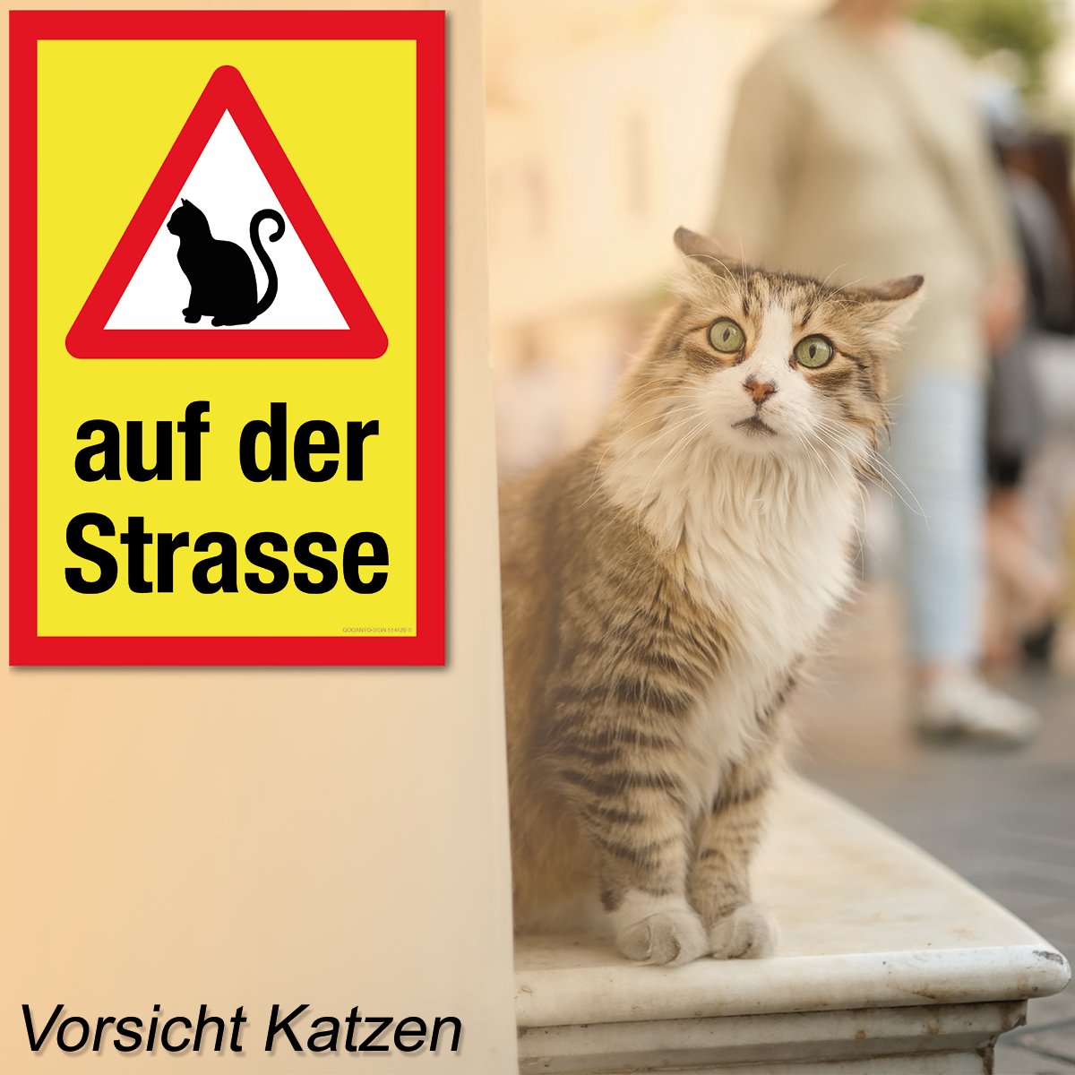 Achtung Katzen Schild oder Aufkleber, Warndreieck Mit Katze - Auf Der Strasse, aus Alu-Verbund oder Selbstklebefolie mit UV-Schutz - QOOANTO-SIGN