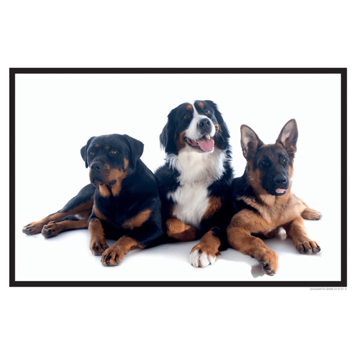 Hundeschild oder Aufkleber, 3 Hunde, aus Alu-Verbund oder Selbstklebefolie mit UV-Schutz - QOOANTO-SIGN